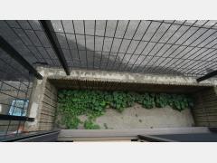 パインクレスト中台