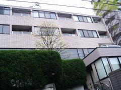 しろがねロッカス