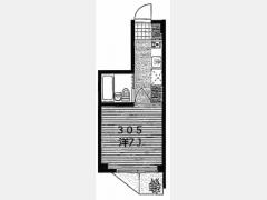 305