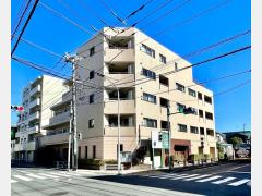 オリーブ