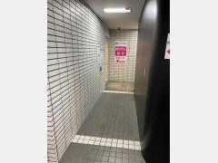 610