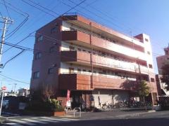 トレンド東伊興