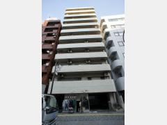 パーシモン・チバ