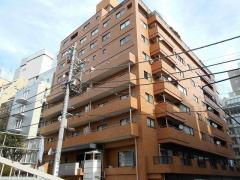 桔梗ライオンズマンション平河町