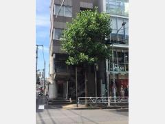 メゾンドコアンナフ