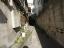 前面道路【神楽坂しのぶ荘】