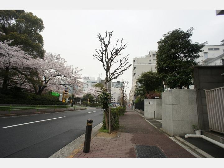 物件前通り【ファミール築地】