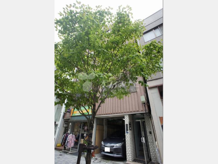 外観【尾形ビル】