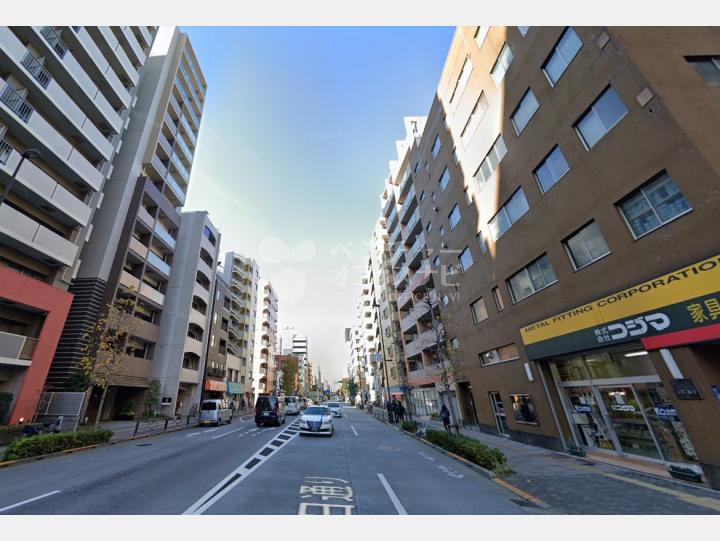 【前面道路】小島ビル