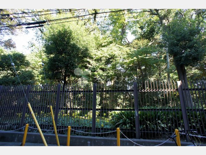物件前の新宿御苑 【千駄ヶ谷ビル】