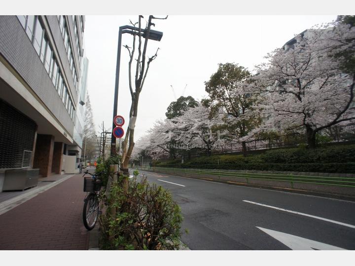 物件前通り【ファミール築地】