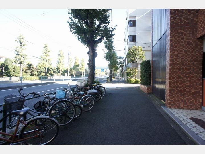 周辺道路 【自由が丘ハイタウン】