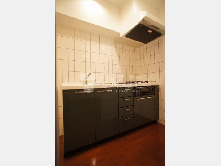 物件写真　【パレスサイドステージホームズ麹町】
