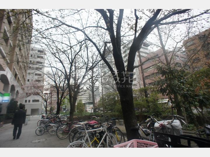 物件前通り【シャルマン築地明石町】