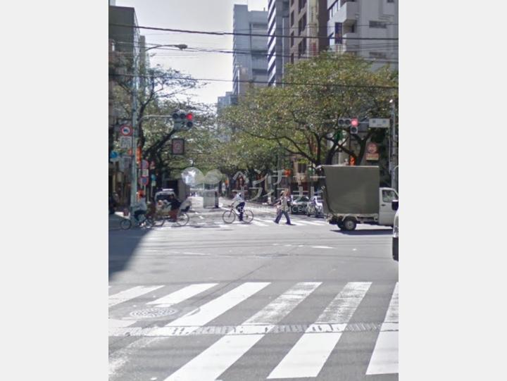 【前面道路】セザール第二中野
