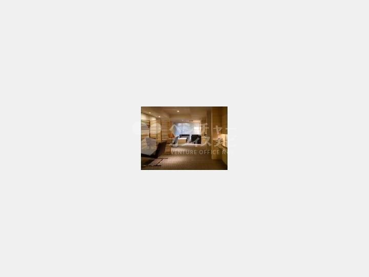 SOHOマンション室内【アークヒルズエグゼクティブタワー N513号室】