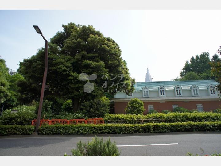 物件前の新宿御苑　【１５６・御苑ビル】