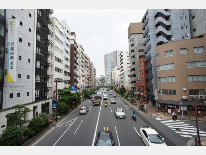 物件前の目白通り　【山京ビル　本館】