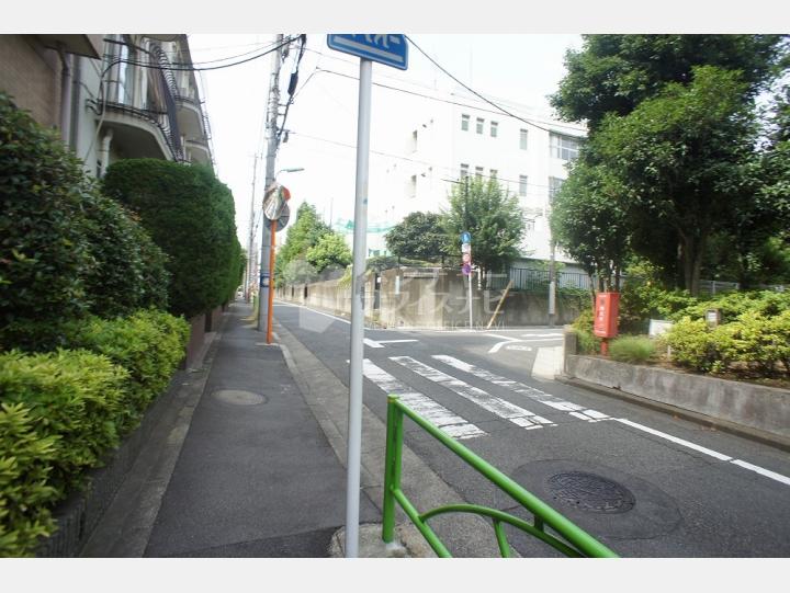 物件前の通り【カサデルフォレスタ】