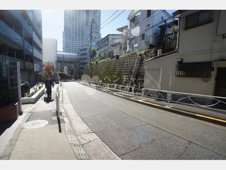 周辺道路 【ゾンネンハイム大橋】