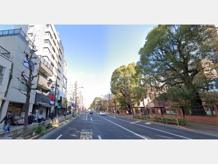 【前面道路】本郷バンビビル