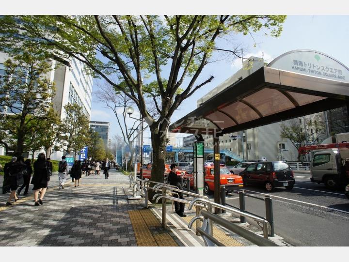 建物前通り【晴美アイランドトリトンスクエアオフィスタワーY連】
